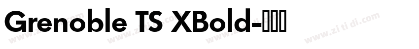 Grenoble TS XBold字体转换